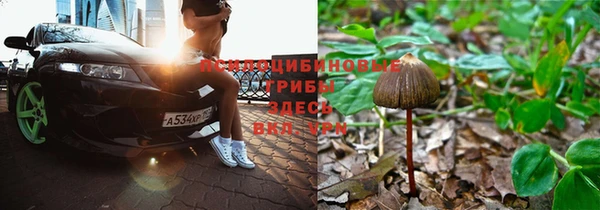 хмурый Балахна